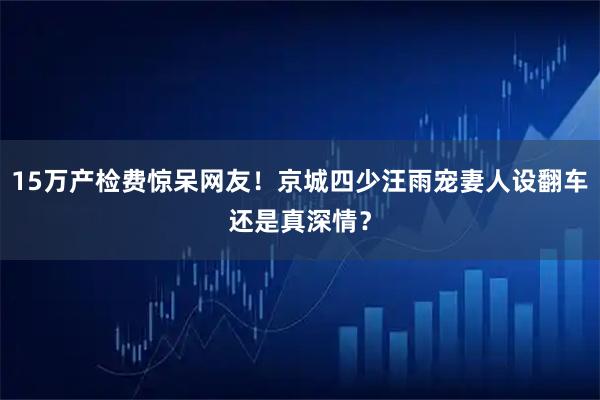 15万产检费惊呆网友！京城四少汪雨宠妻人设翻车还是真深情？